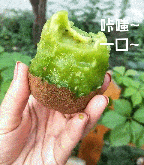 走起！這樣的采摘游玩樂趣千萬別錯(cuò)過——獼猴桃采摘基地合集