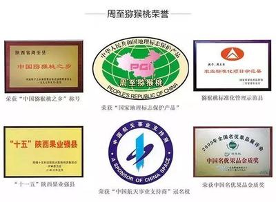 周至獼猴桃盼銷路 萬千兒女的呼喚，您的援手見真情
